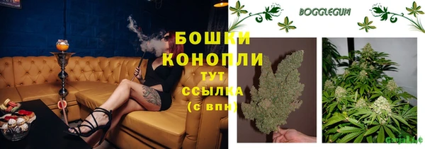 сатива Вяземский