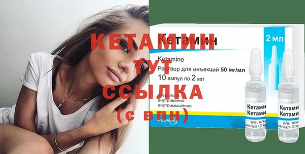 сатива Вяземский