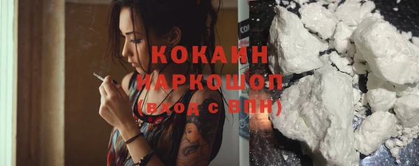 сатива Вяземский