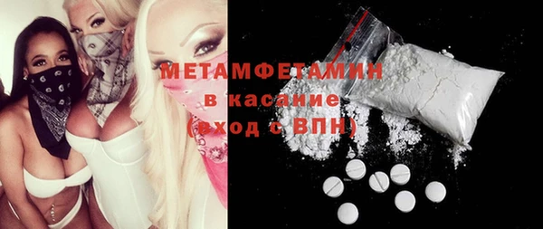 сатива Вяземский