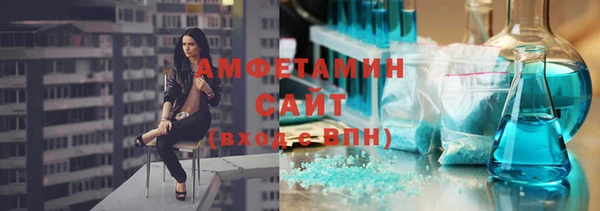 сатива Вяземский