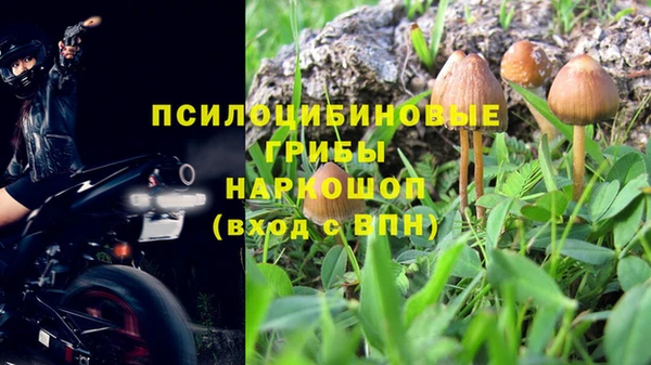 сатива Вяземский