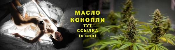 сатива Вяземский