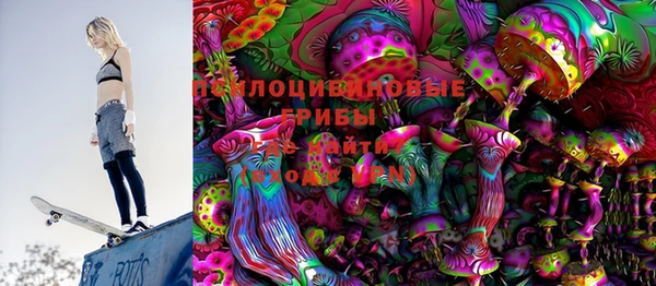 сатива Вяземский