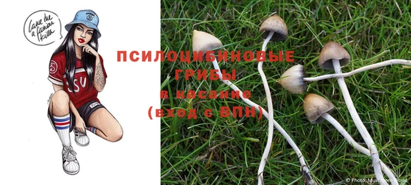 mdma Пролетарск