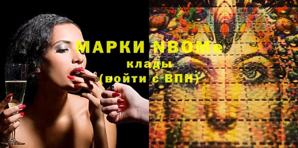 сатива Вяземский