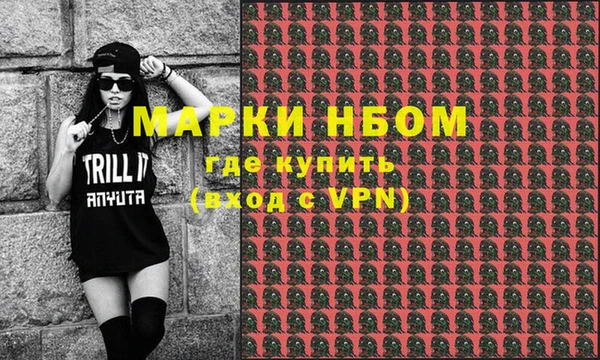 сатива Вяземский