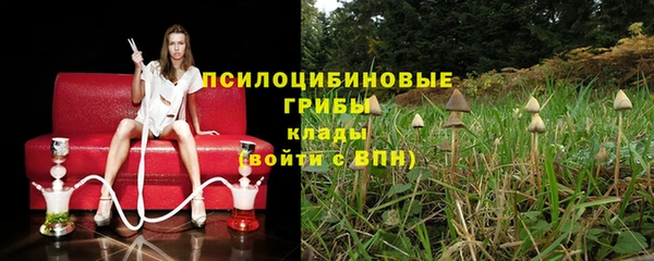 мяу мяу мука Вязники
