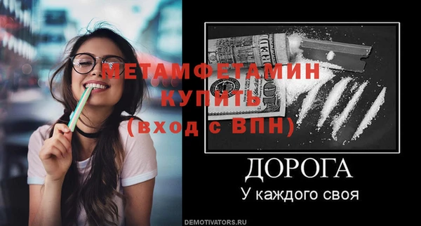 сатива Вяземский