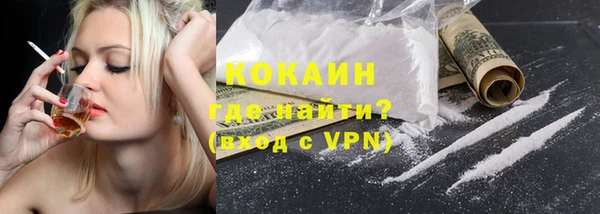 сатива Вяземский