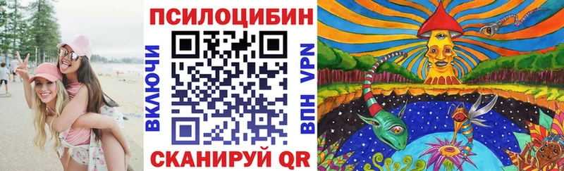 Псилоцибиновые грибы Magic Shrooms  даркнет сайт  KRAKEN зеркало  Власиха 