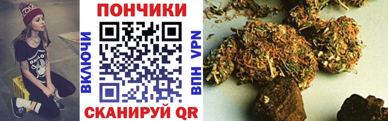 Шишки марихуана сатива  Власиха 